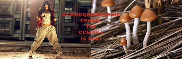дживик Абинск