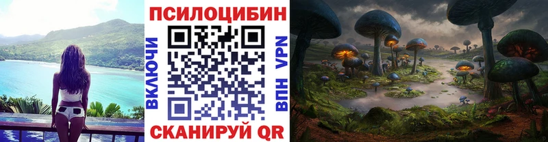 Галлюциногенные грибы Psilocybe Лесозаводск